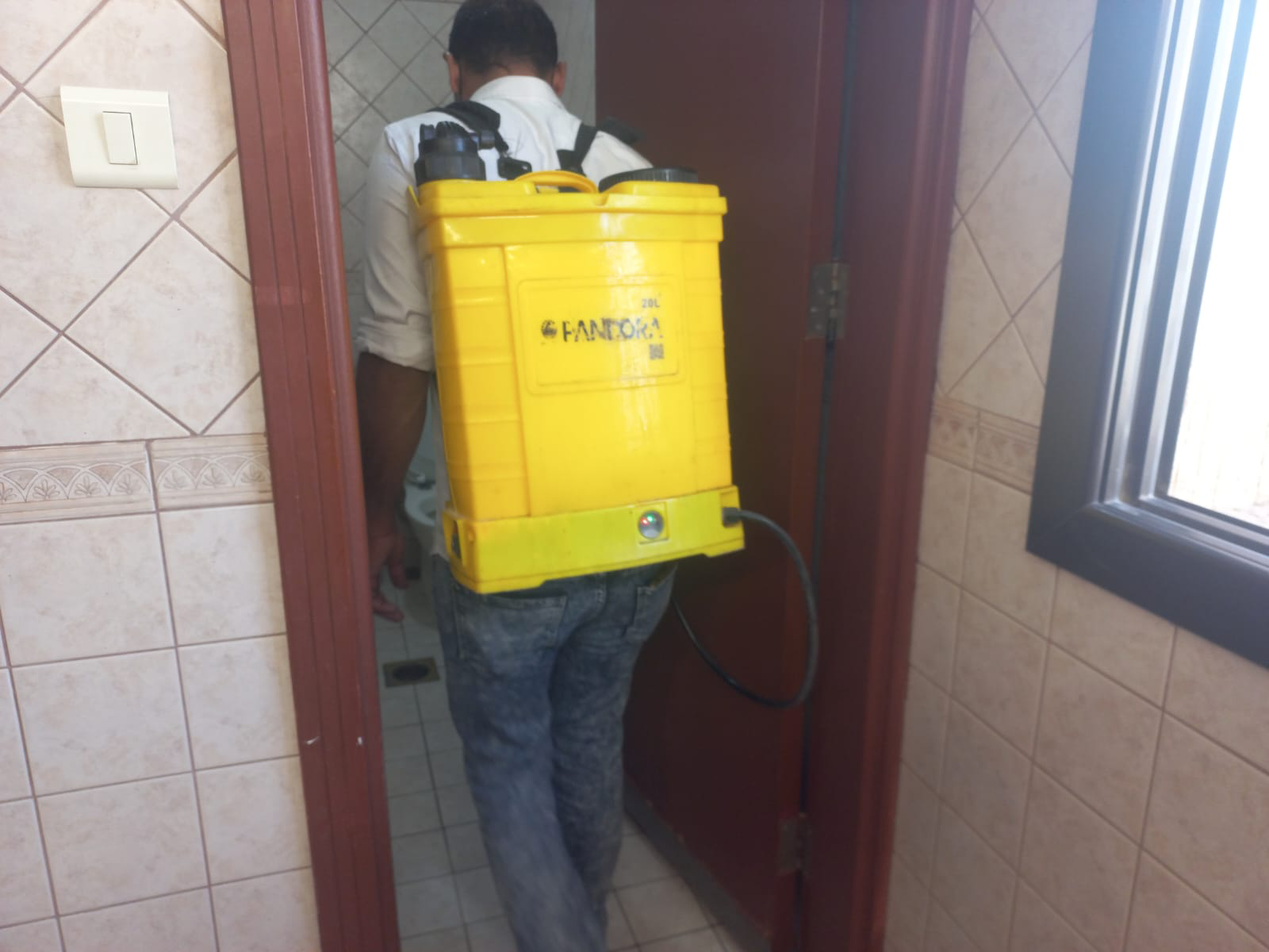 شركه مكافحه حشرات بالرياض