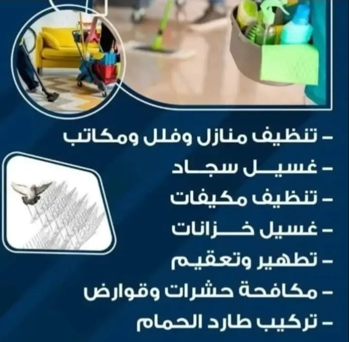 تنظيف خزنات وكنب وسجاد - Image 2