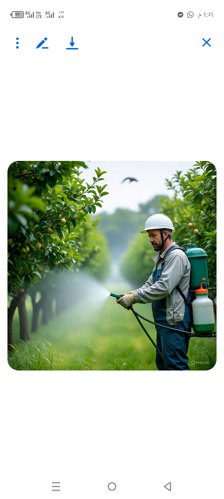 شركة غسيل كنب وسجاد بالبخار في جده