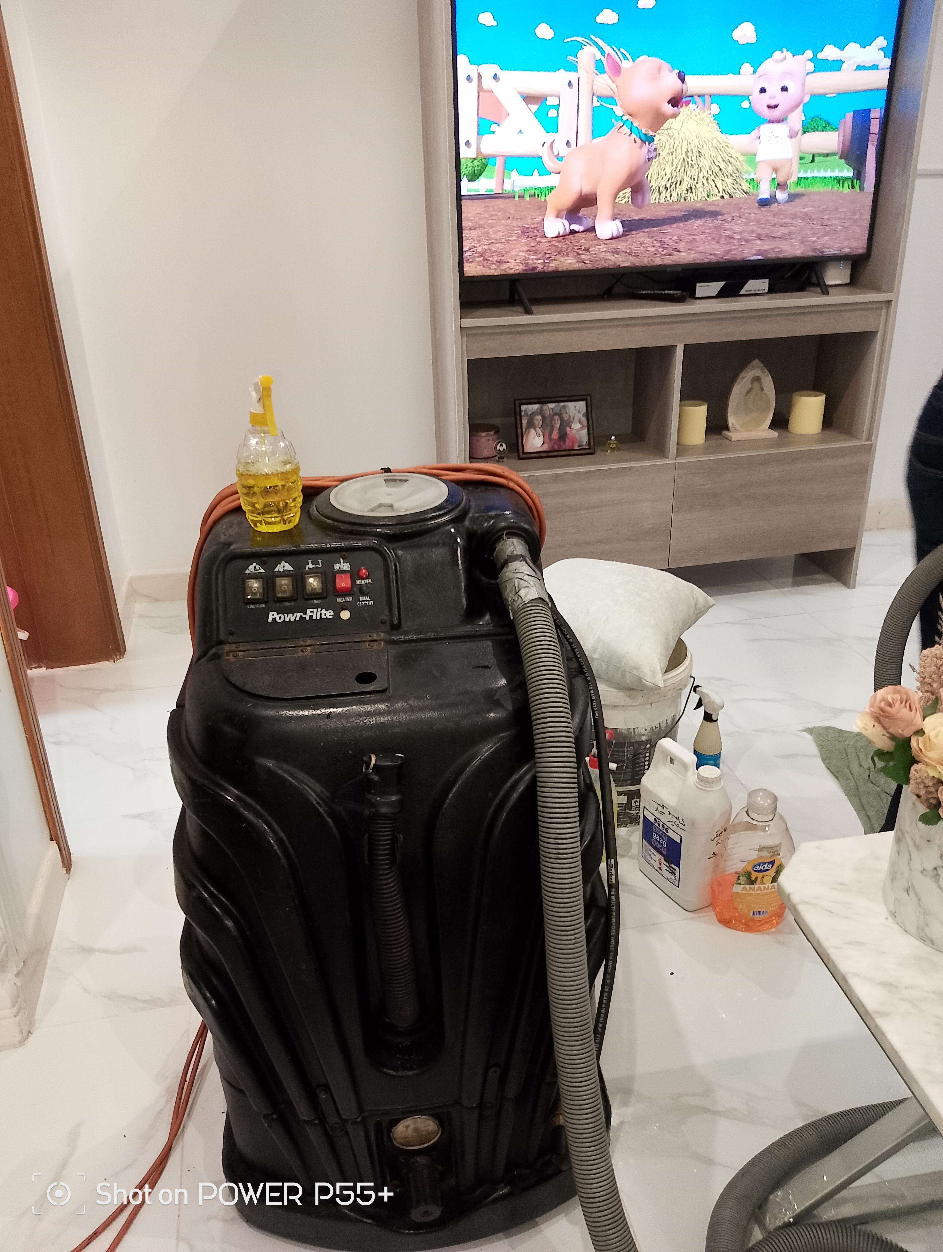 شركه رش الصراصير مكافحة شامله جميع انواع الحشرات - Image 5