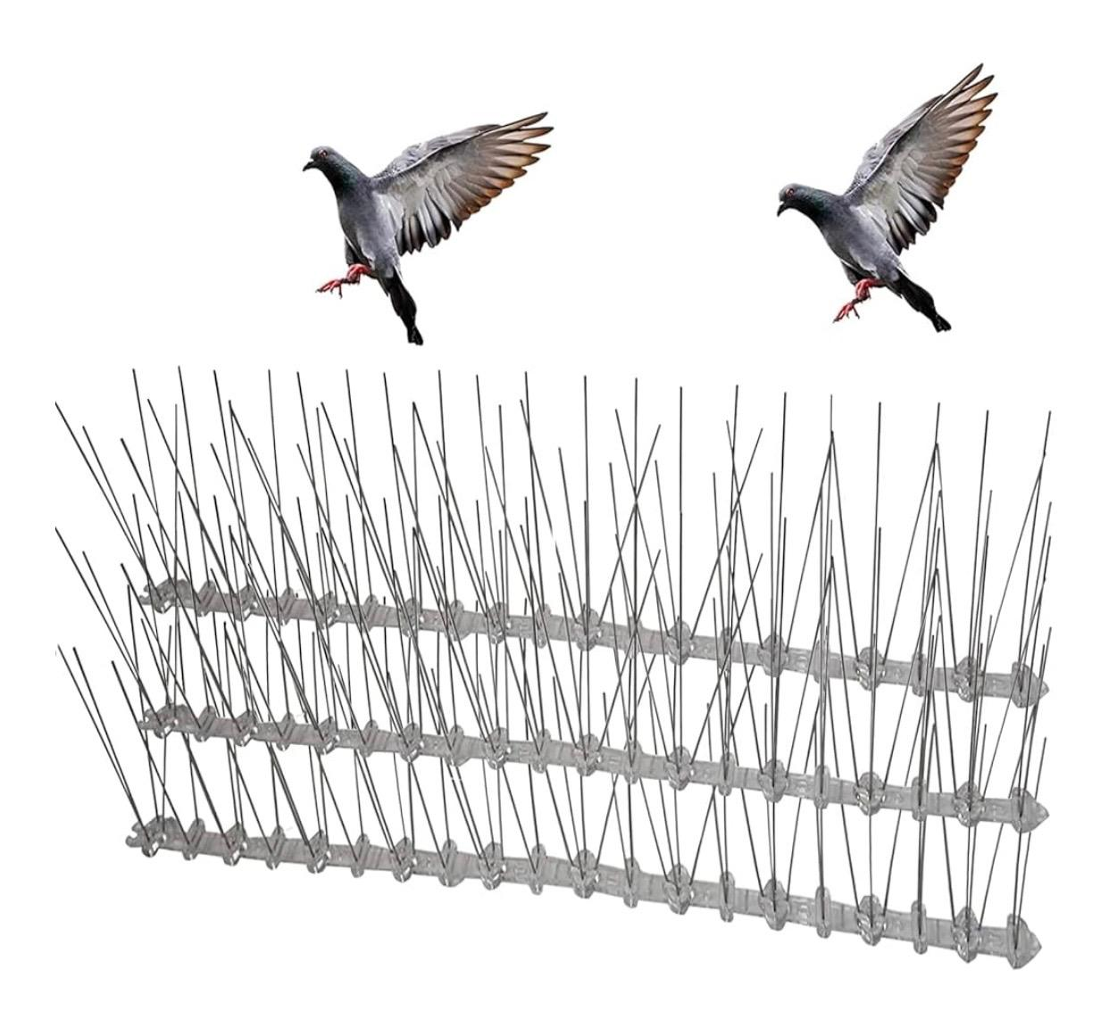 شركه مكافحه جميع انواع الحشرات الطائرة والزاحفه - Image 5