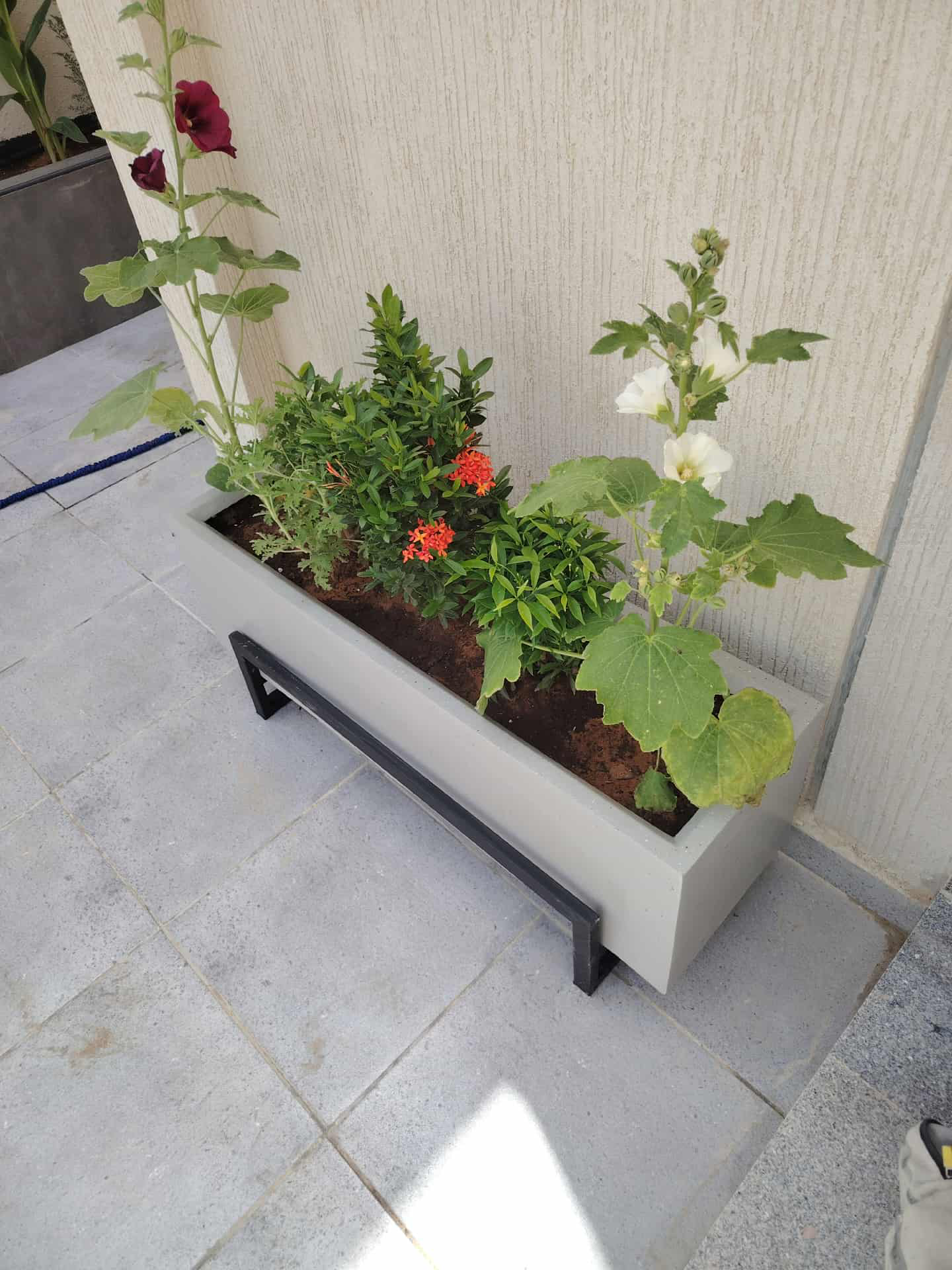 تنسيق حدائق - Image 12