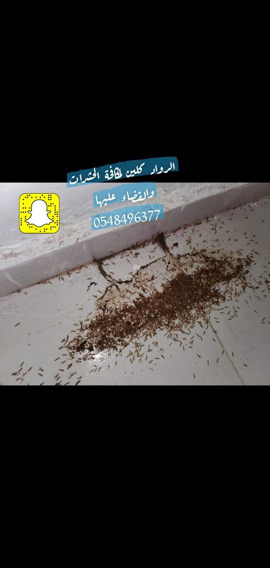 شركة الرواد كلين لمكافحة الحشرات - Image 5