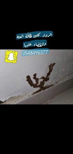 شركة الرواد كلين لمكافحة الحشرات - Image 6
