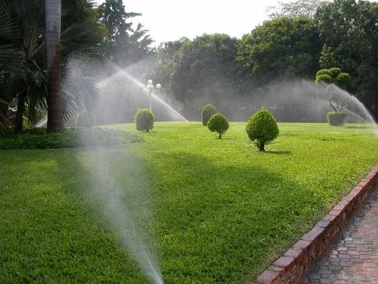 تنسيق حدائق - Image 15