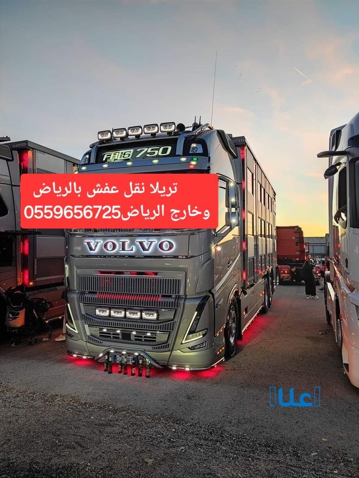 تريلا نقل عفش بالرياض 0559656725 تريلا نقل خارج الرياض - Image 2