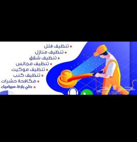 شركة الوادي للنظافة والصيانة العامة