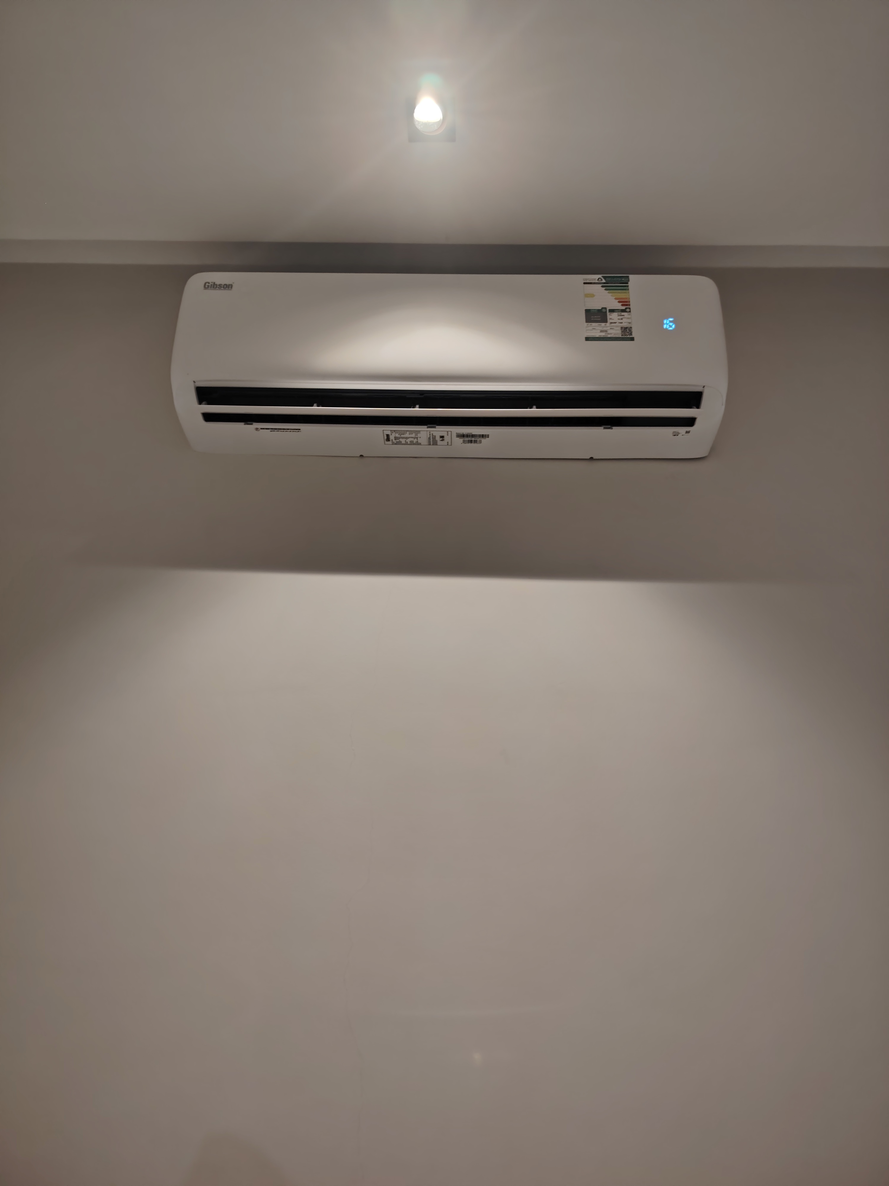 محمد عبد الله