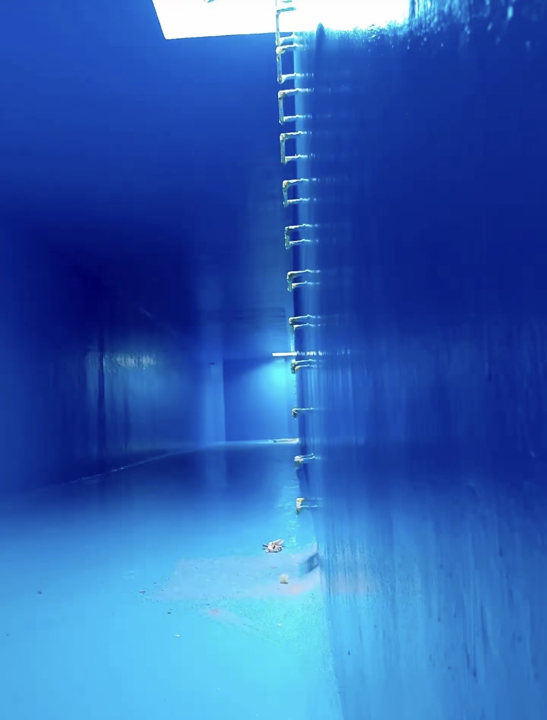 جميع أنواع العزل باضافه الي عزل صوت وعزل أبواب افضل الخامات - Image 13