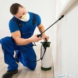 مكافحة حشرات رش مبيدات مكافحة الصراصير مكافحة النمل والفئران - Image 4