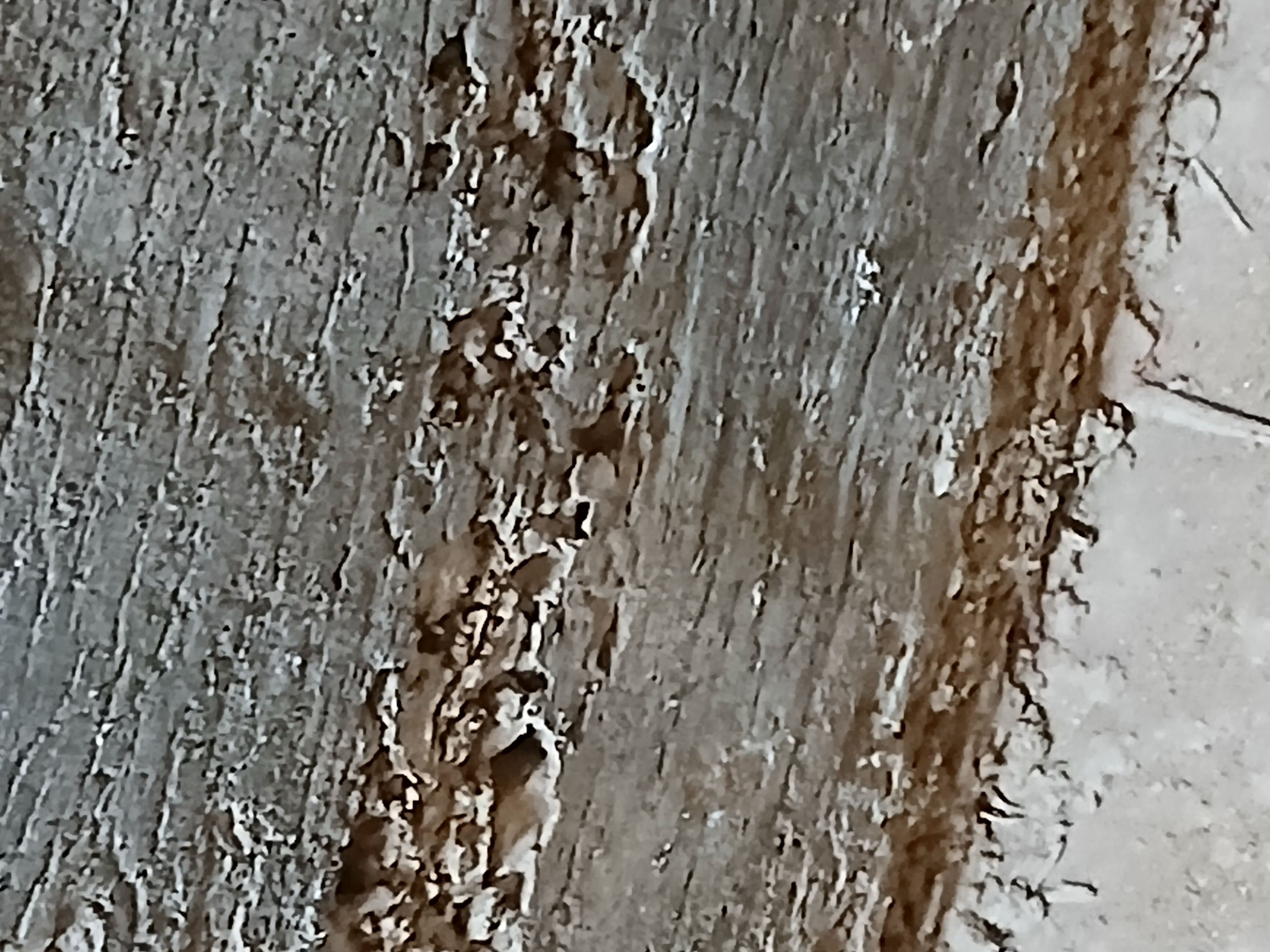 ,شركة ترميم منازل - Image 5