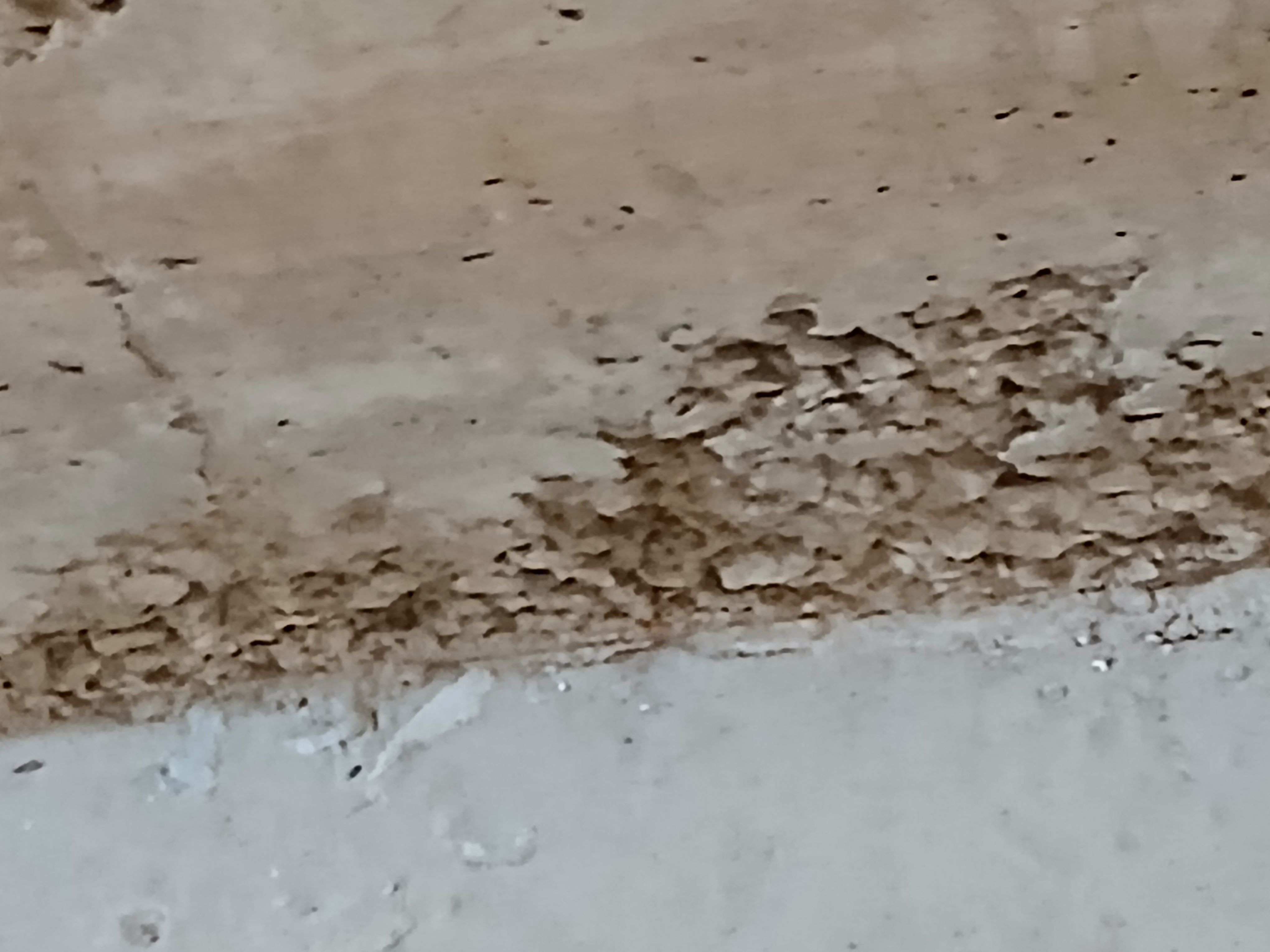 ,شركة ترميم منازل - Image 7