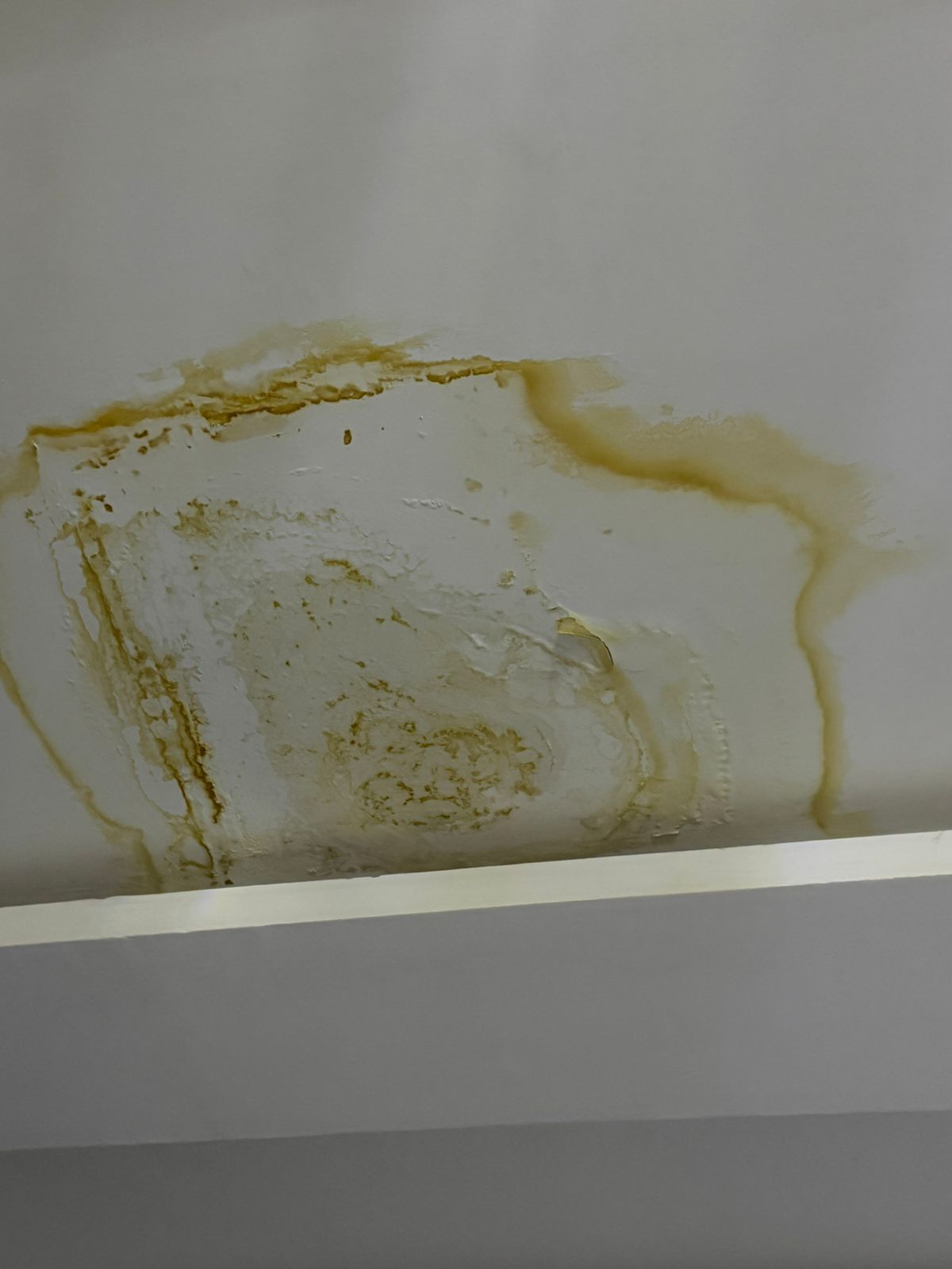 مؤسسه الثقه