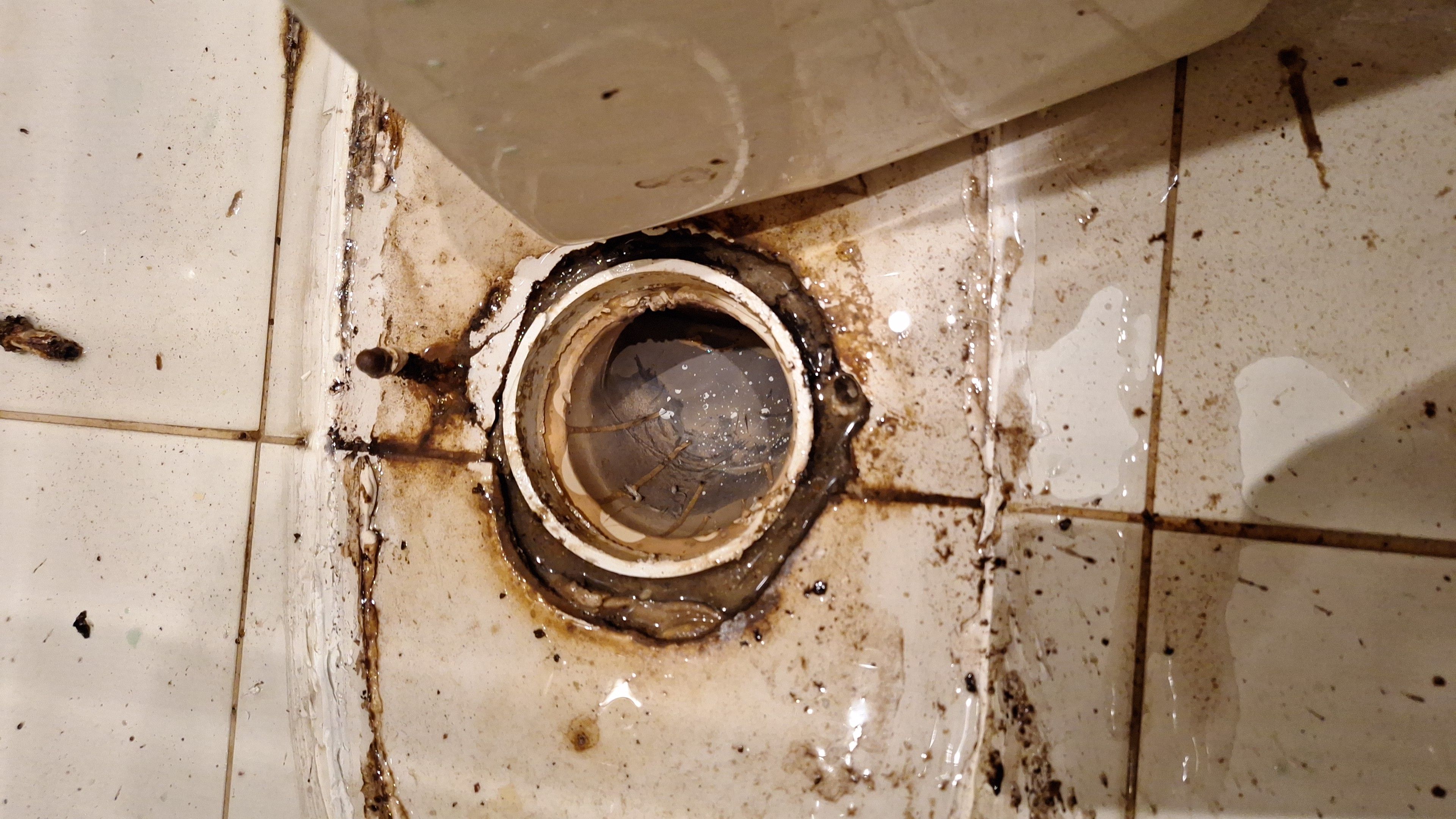 مؤسسه الثقه - Image 6