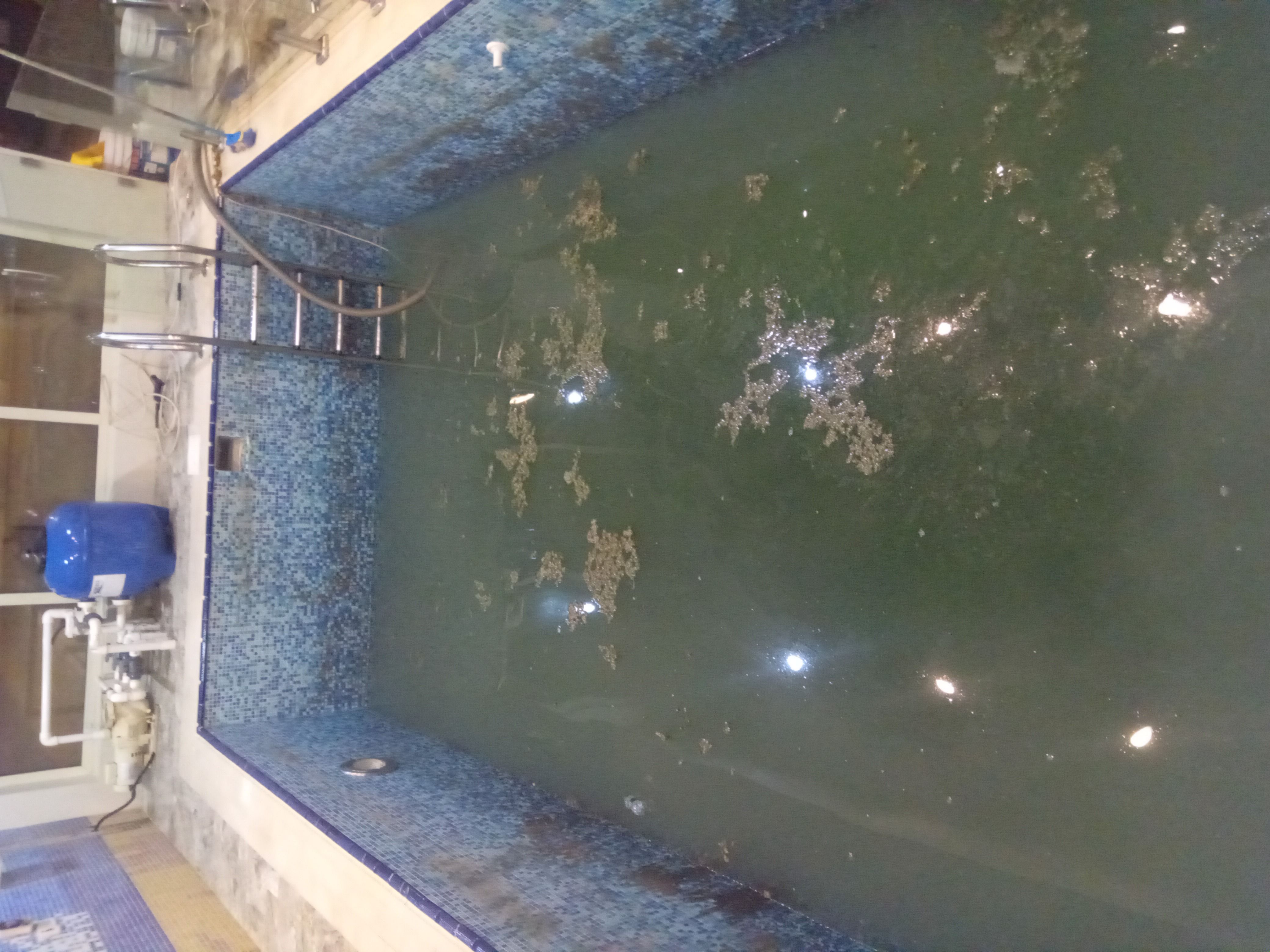 تنظيف خزانات مسابح بالرياض - Image 7