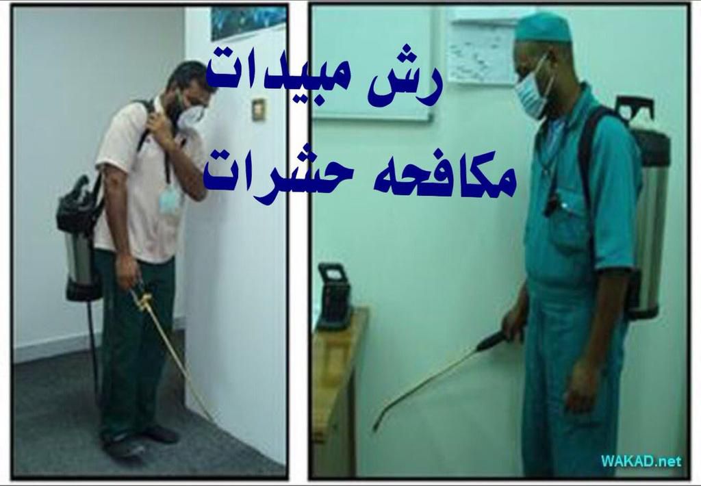 رش حشرات ومكافحة حشرات