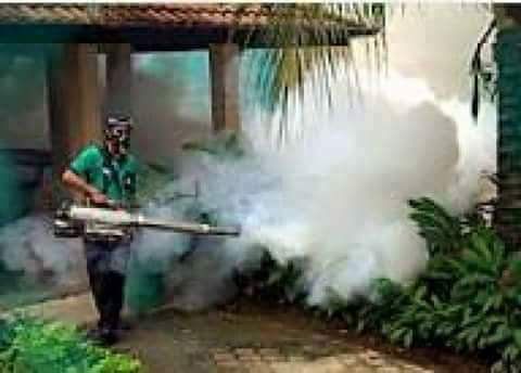 رش حشرات ومكافحة حشرات - Image 2