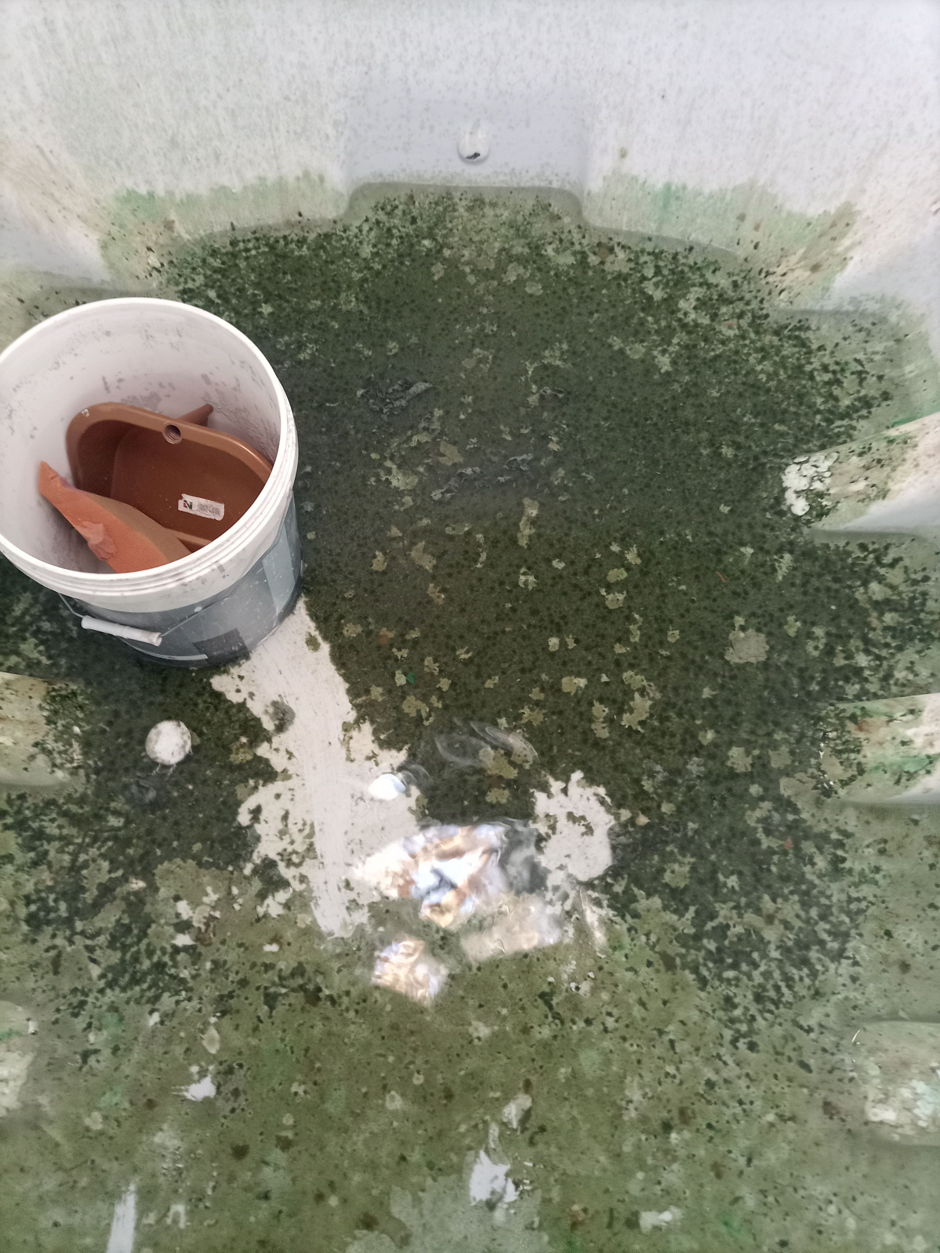 شركة تنظيف منازل بالدمام شركة تنظيف محالس بالدمام 0537856213 - Image 11