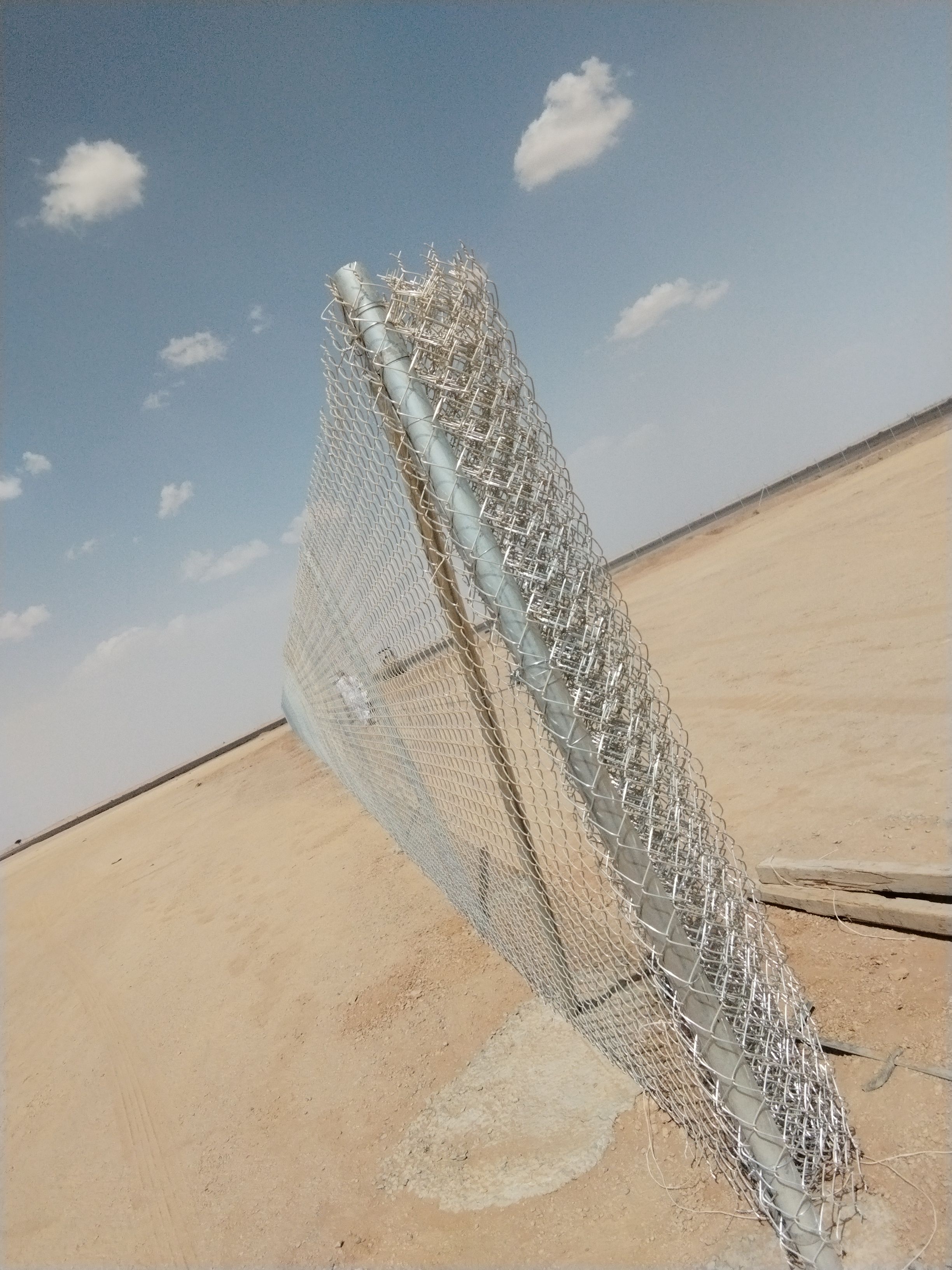 مقاول شبوك وزراعة النخيل - Image 4