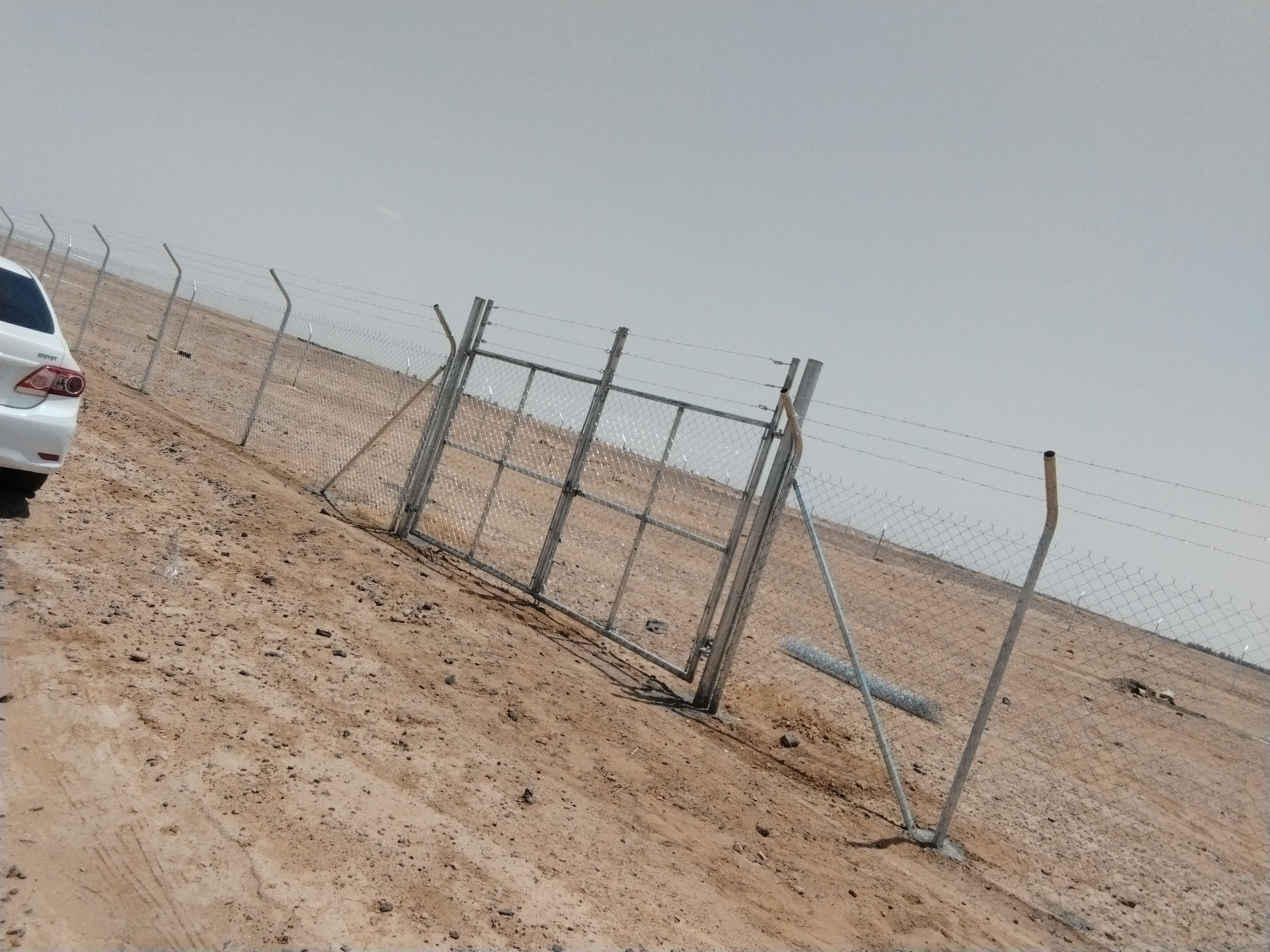 مقاول شبوك وزراعة النخيل - Image 6