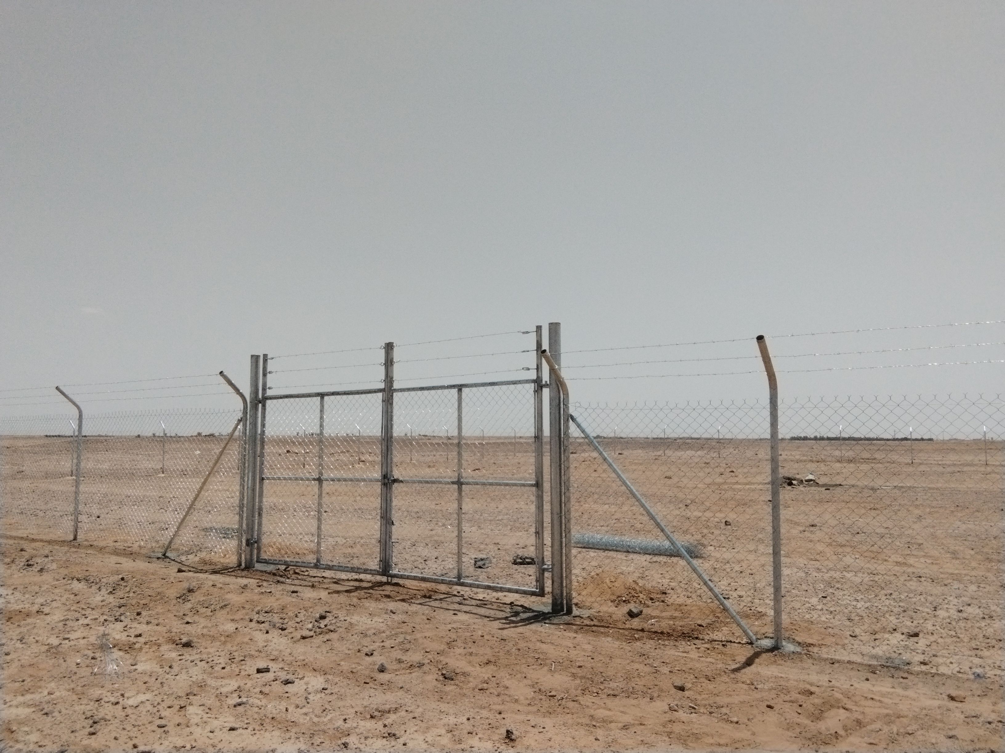 مقاول شبوك وزراعة النخيل - Image 7