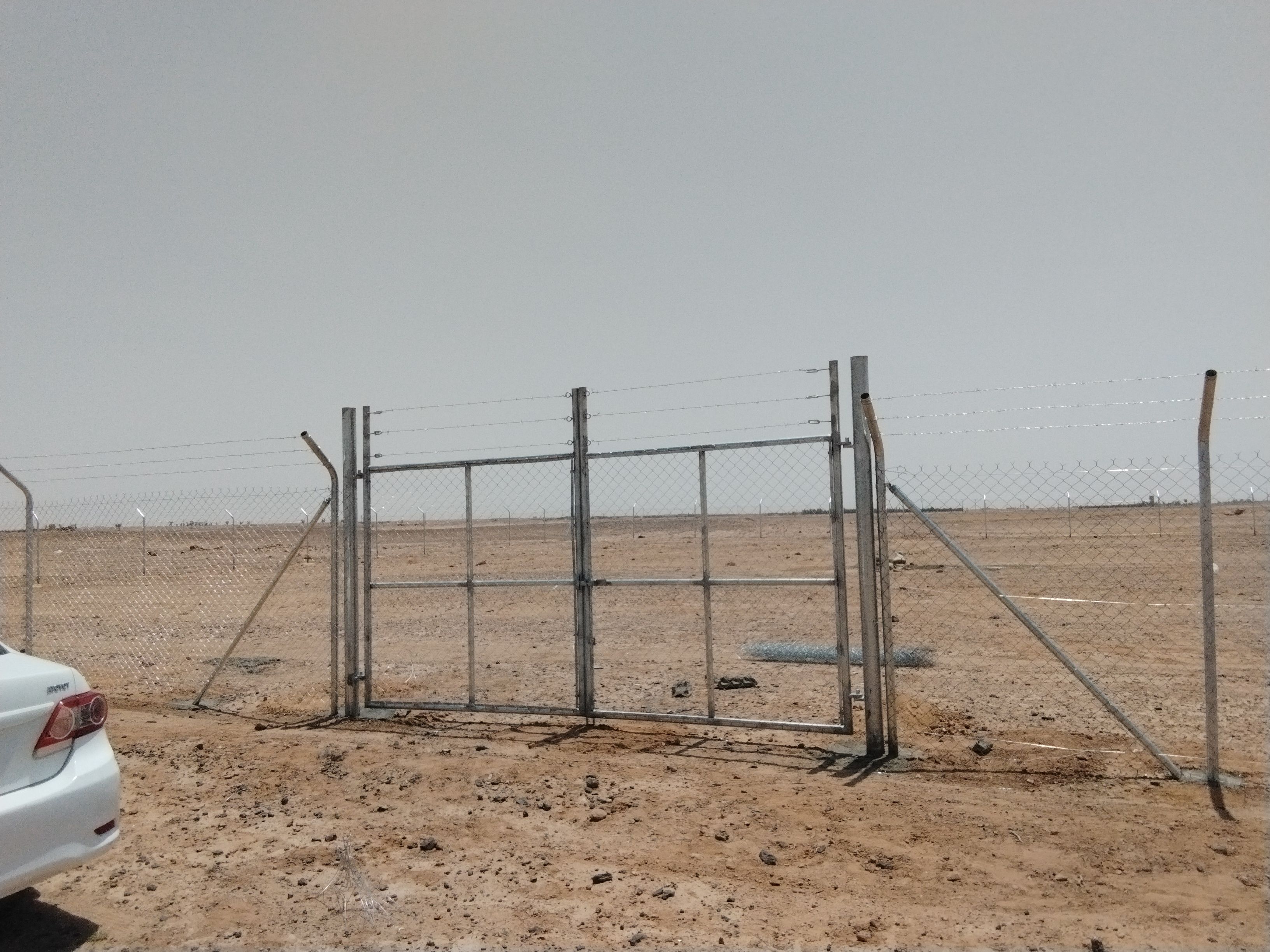 مقاول شبوك وزراعة النخيل - Image 8