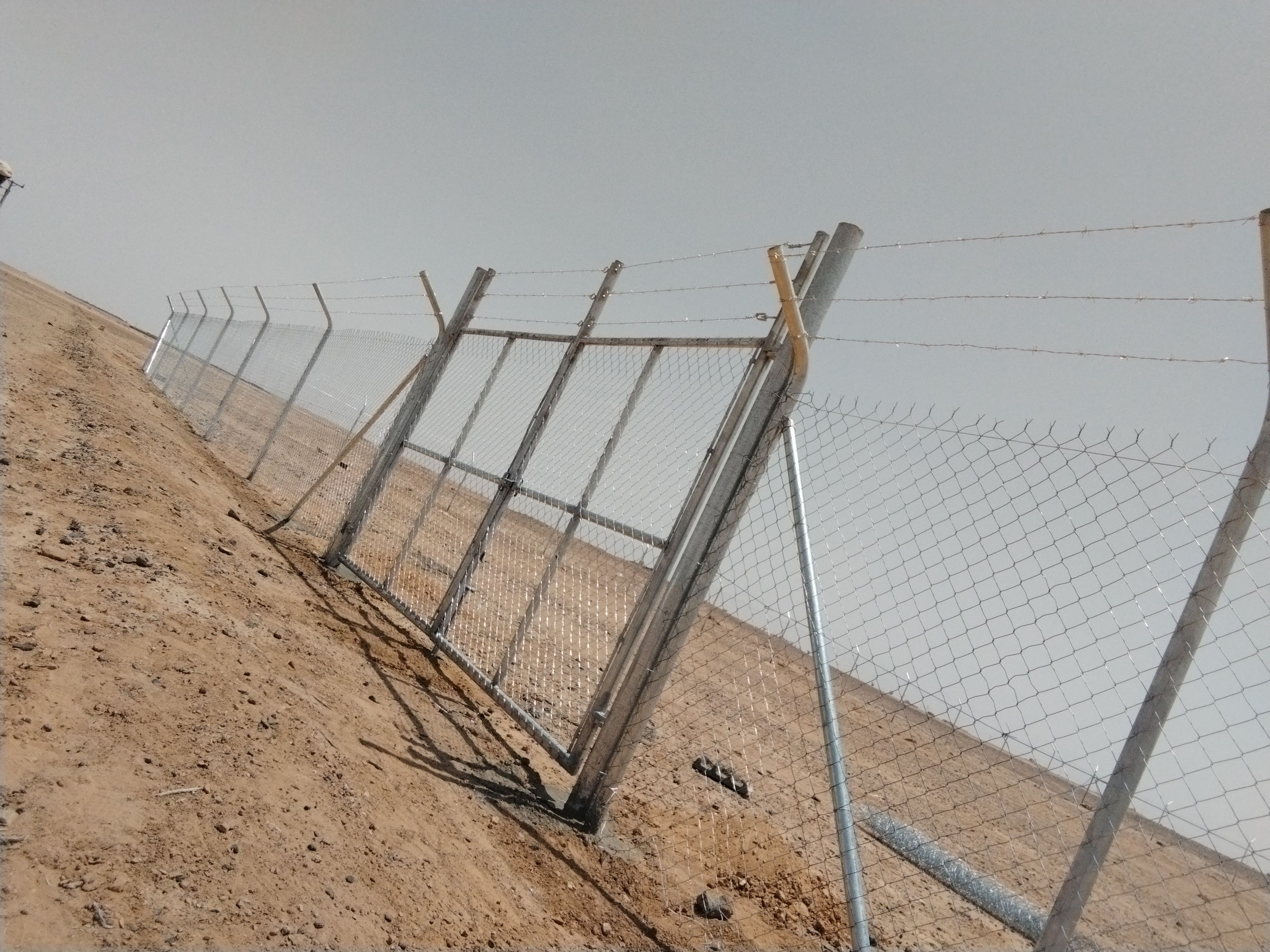 مقاول شبوك وزراعة النخيل - Image 9