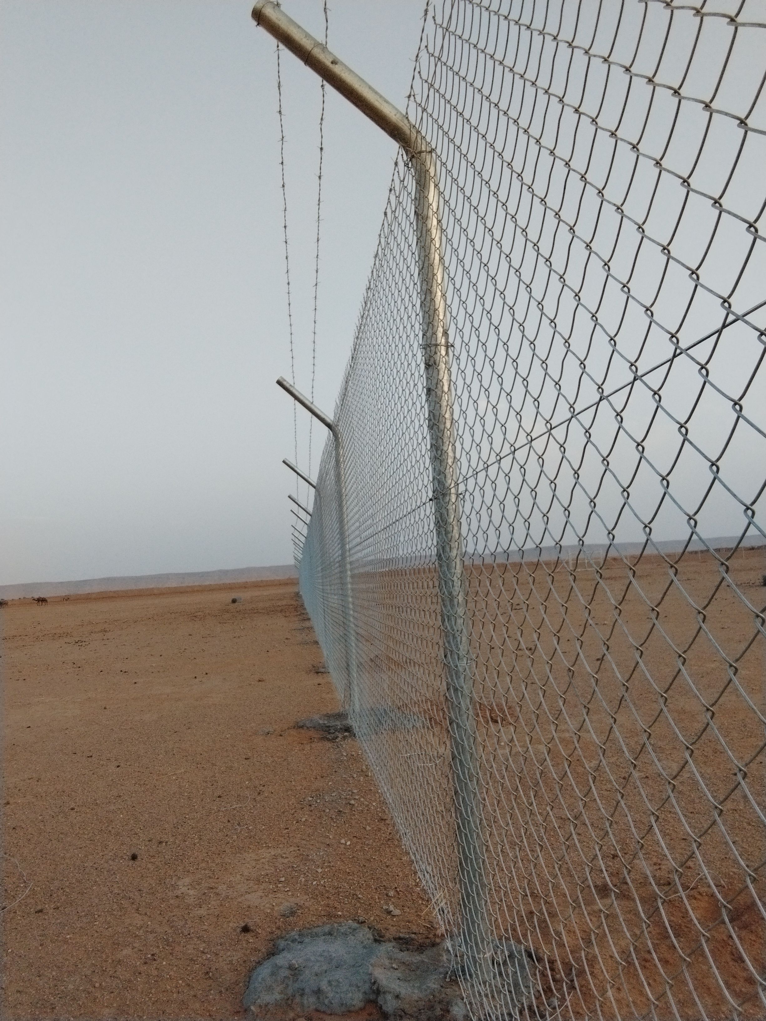 مقاول شبوك وزراعة النخيل - Image 11