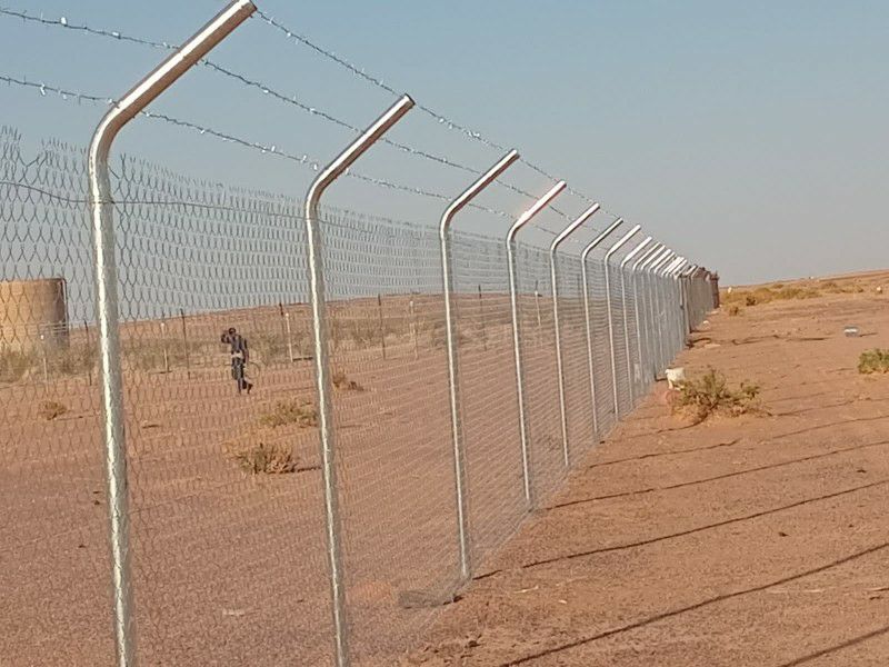 مقاول شبوك وزراعة النخيل - Image 14