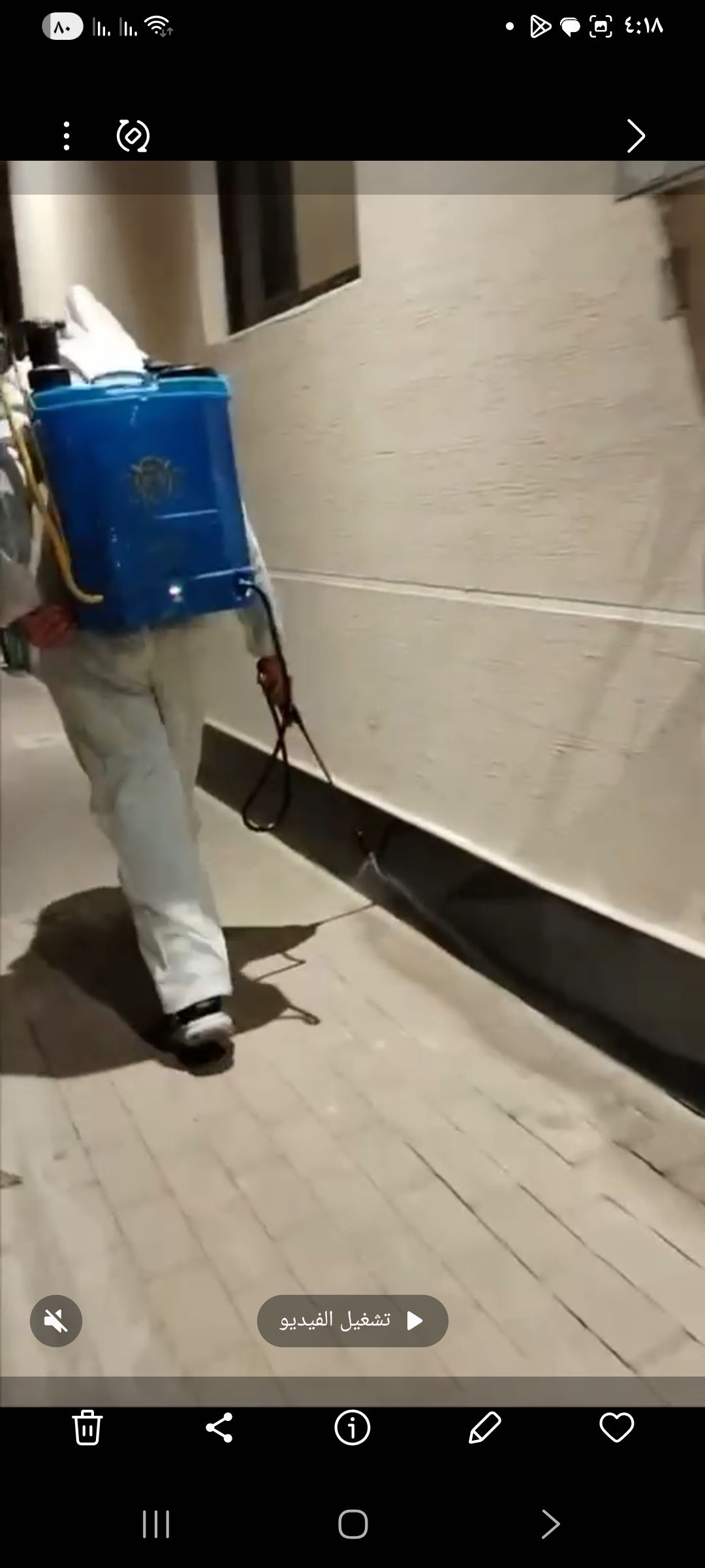 شركى مكافحة الحشرات بالرياض