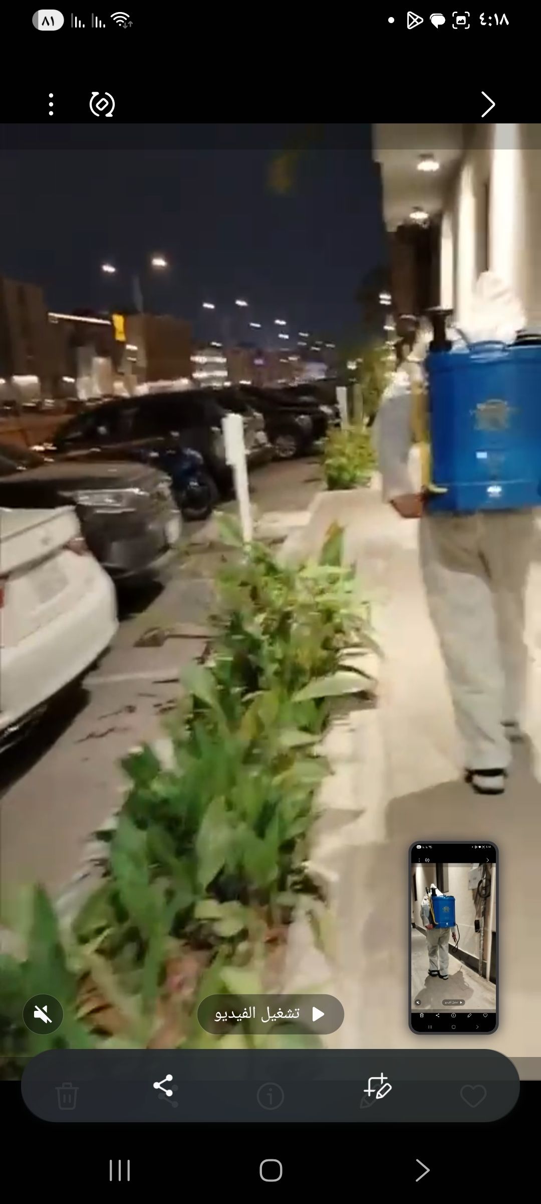 شركى مكافحة الحشرات بالرياض - Image 3