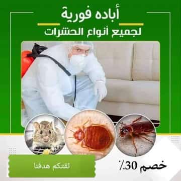 شركة مكافحة حشرات بجده