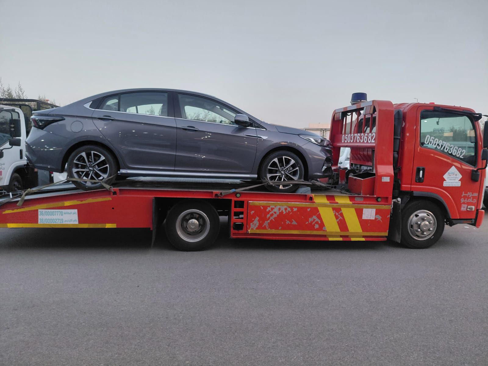 سطحة القنفذة