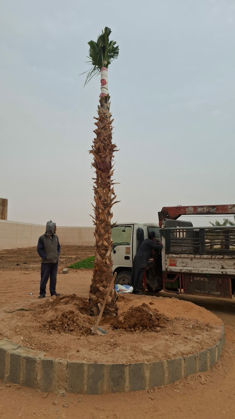 مقاول شبوك - Image 2