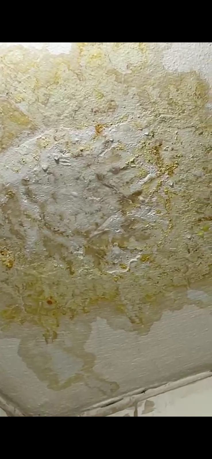 كشف تسربات المياه وحل ارتفاع فاتوره المياه - Image 13