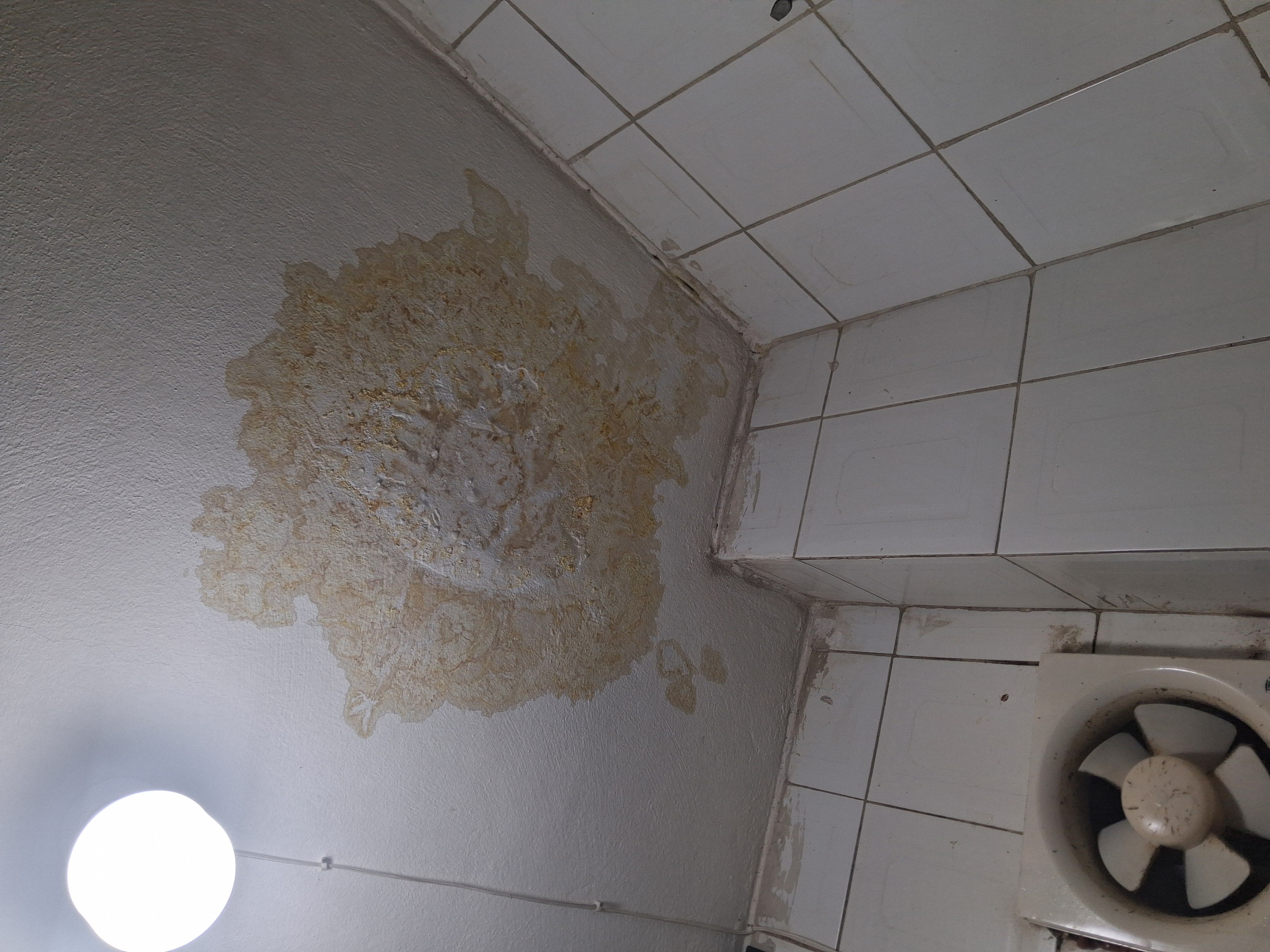 كشف تسربات المياه وحل ارتفاع فاتوره المياه - Image 17