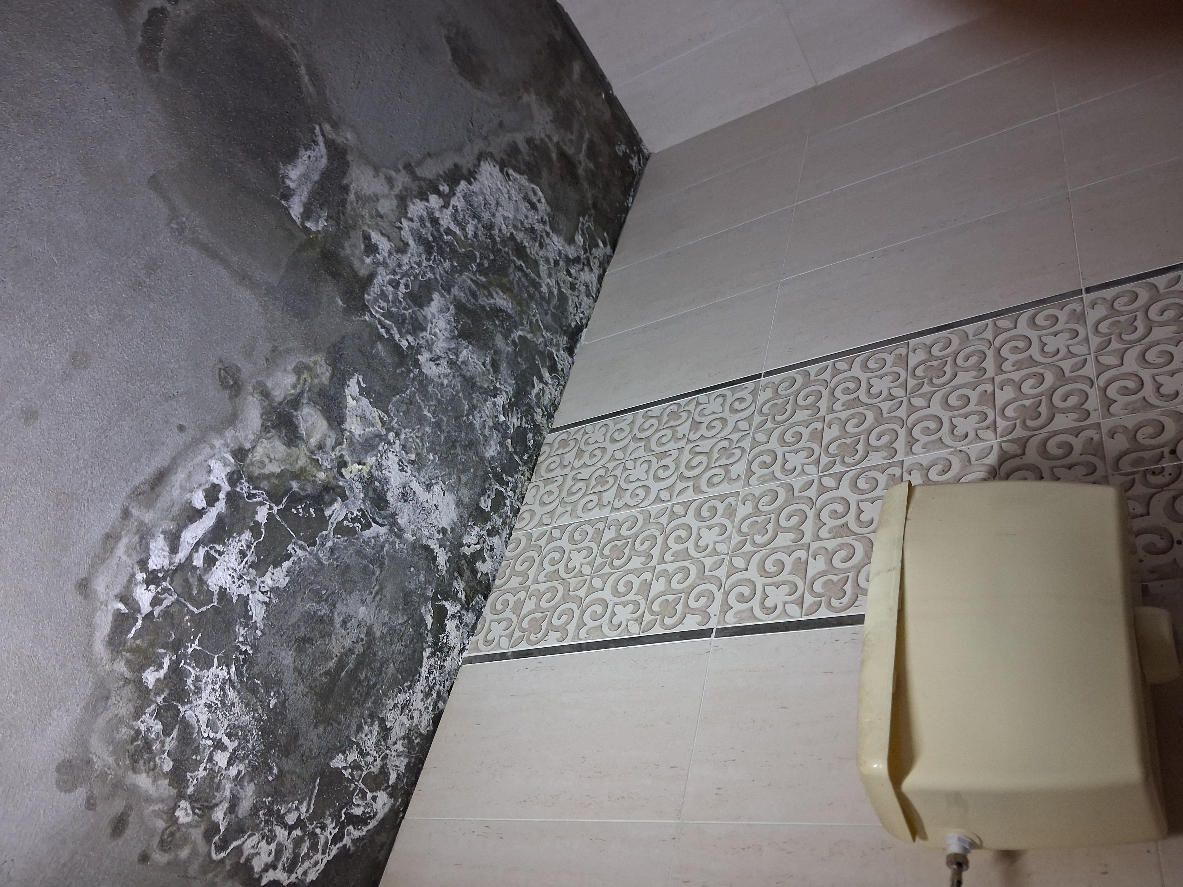 كشف تسربات المياه بمكه المكرمه - Image 4