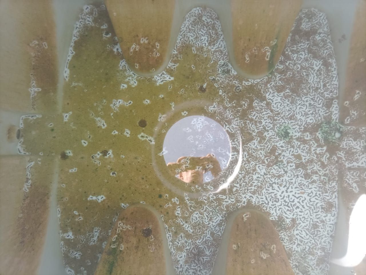 شركة تنظيف خزانات بالدمام والقطيف شركة مكافحة حشرات بالدمام - Image 6