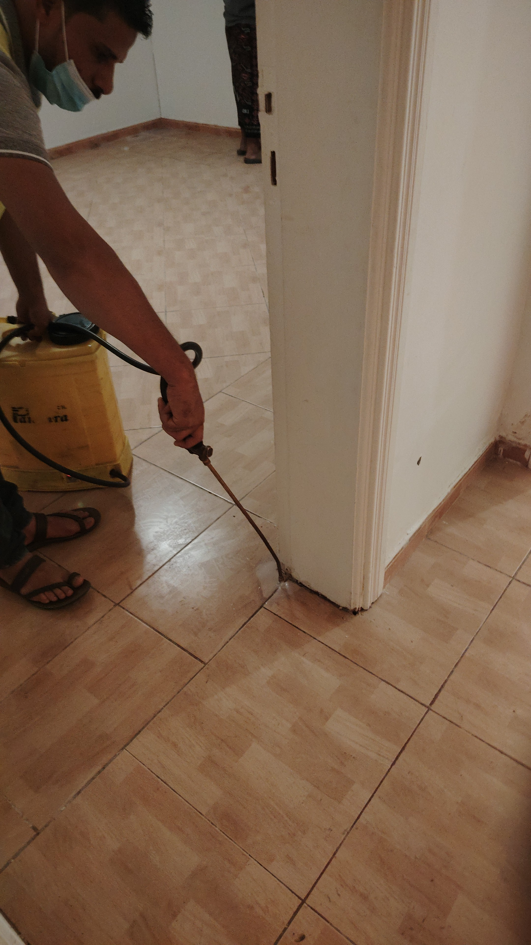الشركة العالميه لمكافحة الحشرات 0557342557