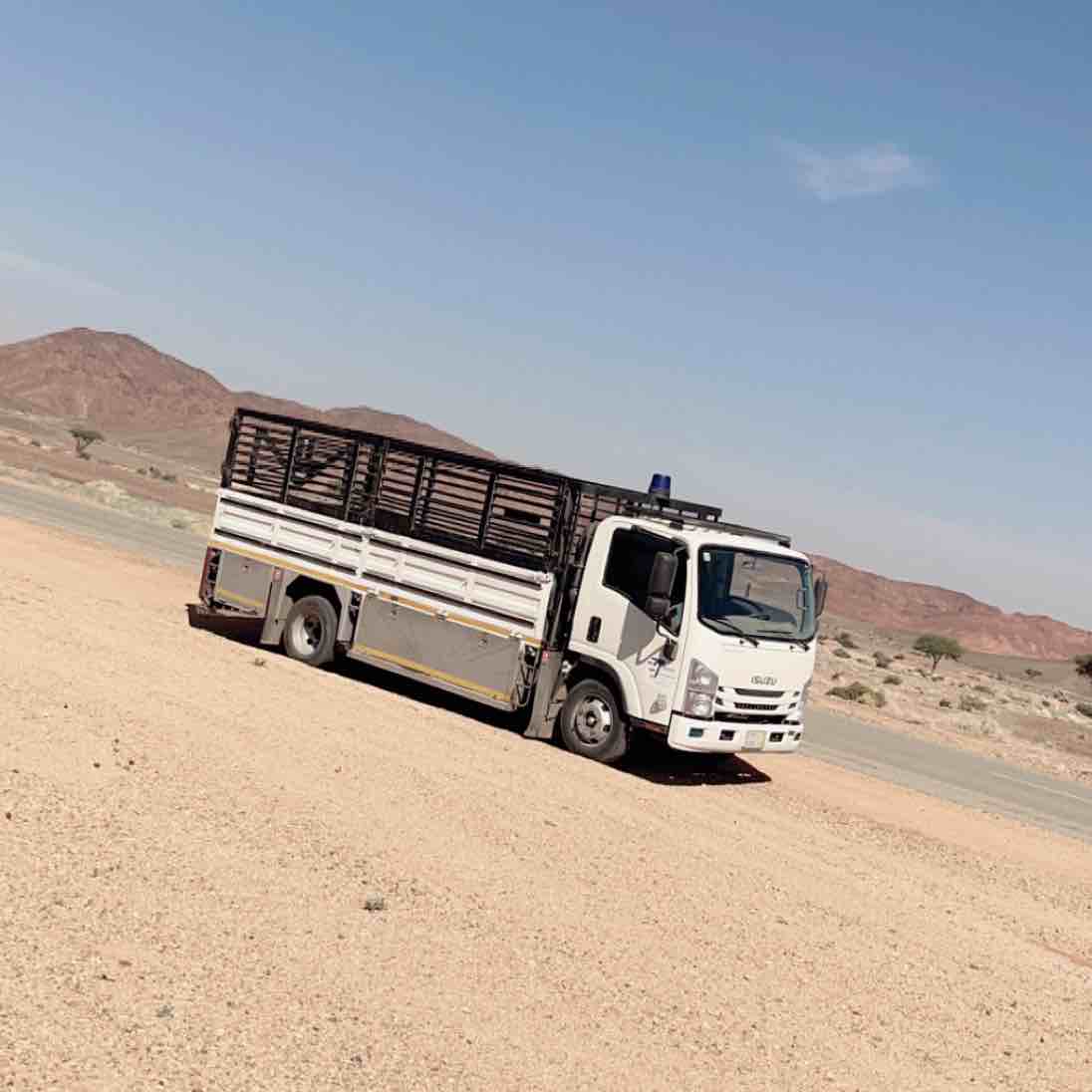 نقليات