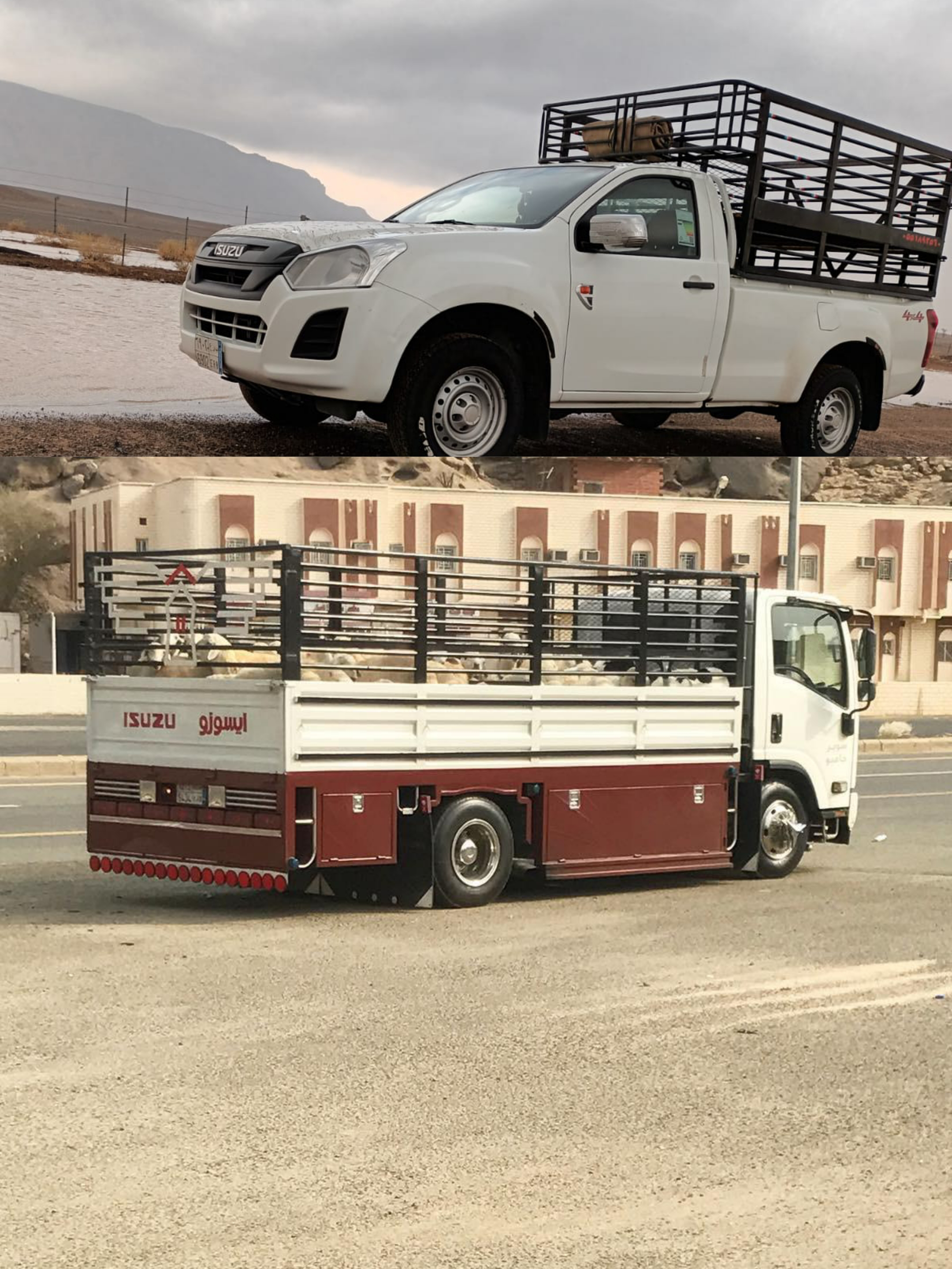 ونيت ودينه نقل عفش واثاث