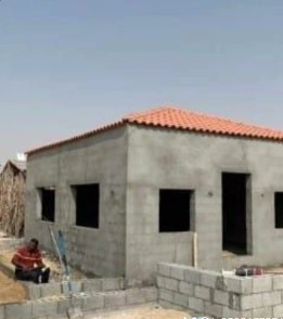 القطيف