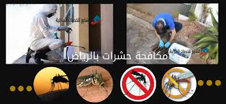 شركة مكافحة حشرات بالرياض رش مبيدات بالرياض