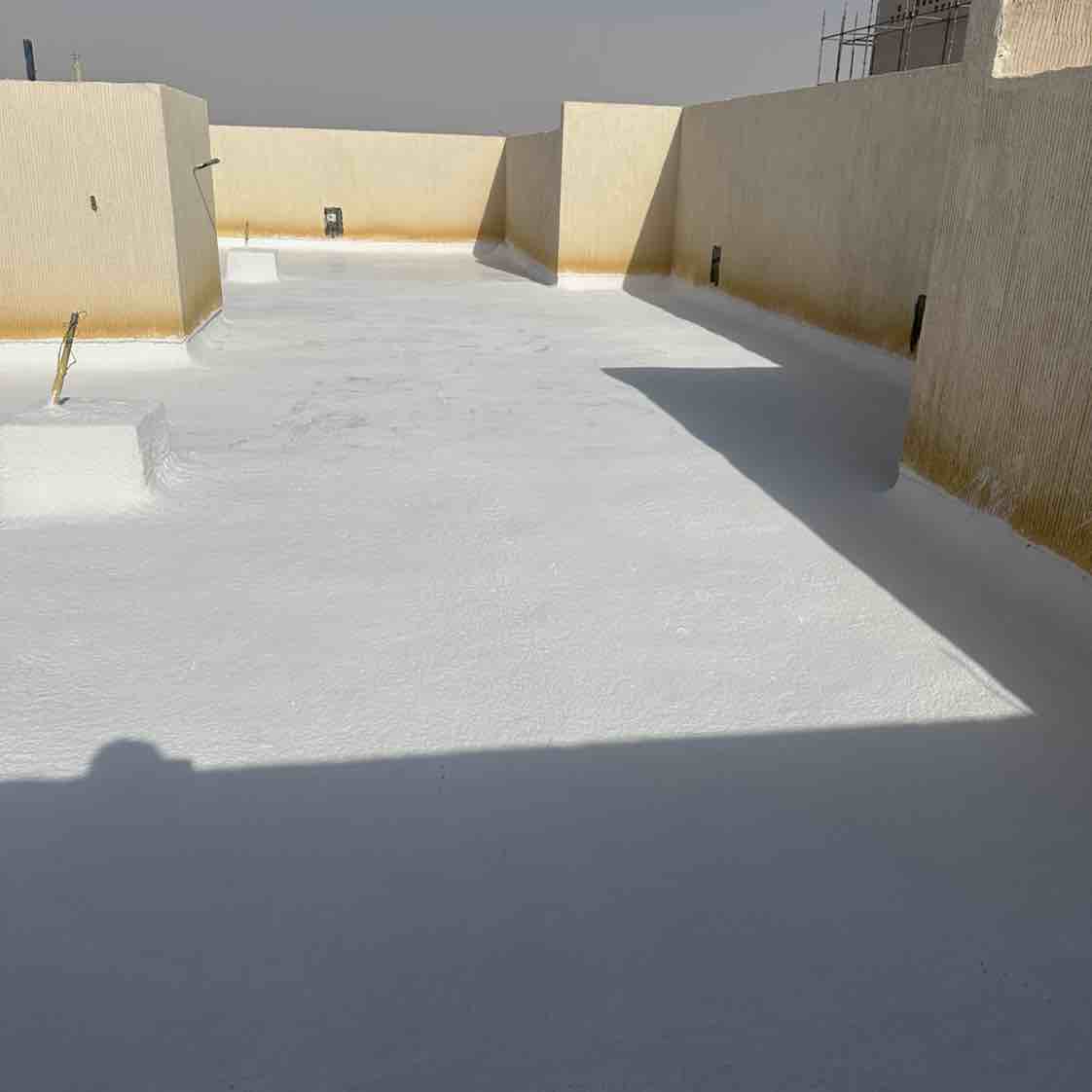 شركة عزل