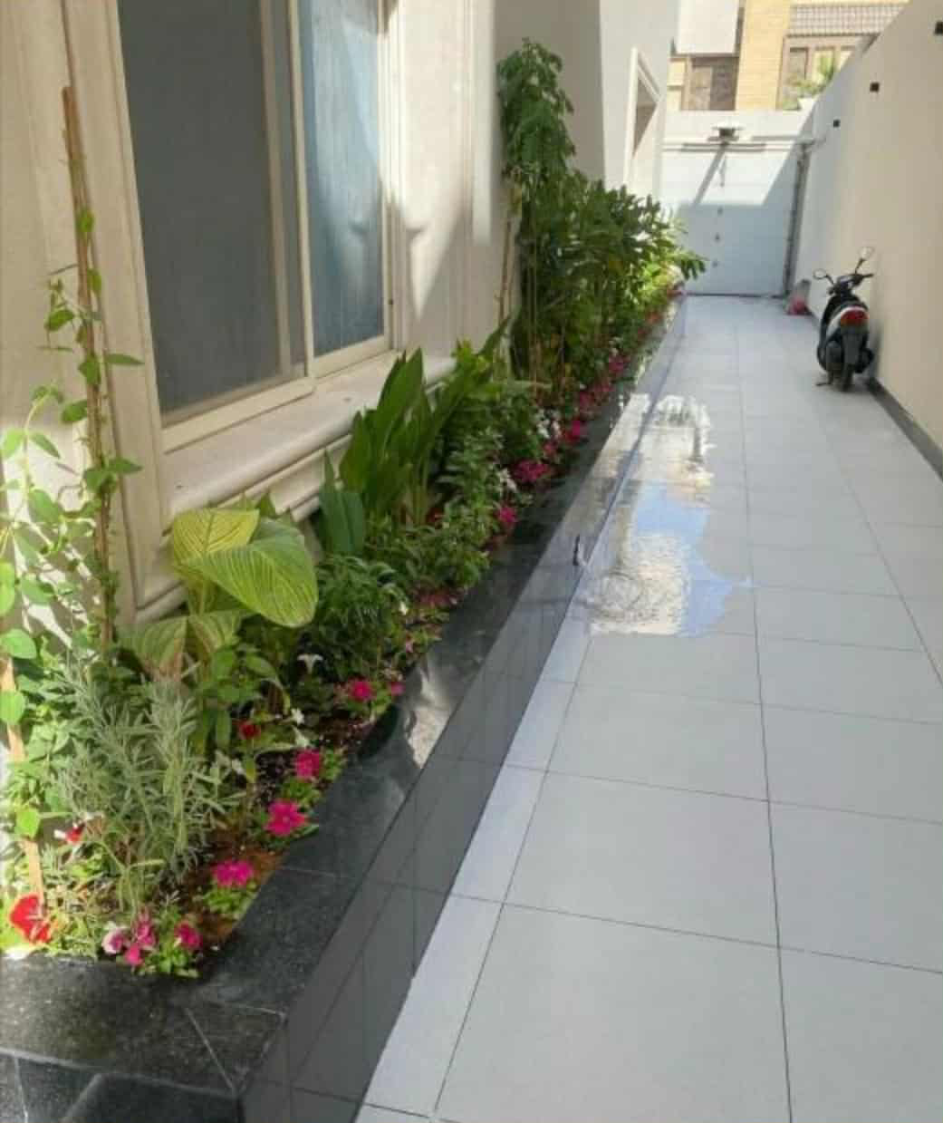 تنسيق حدائق - Image 11 تنسيق حدائق - Image 11