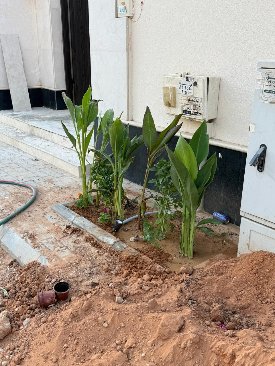 تنسيق حدائق - Image 11