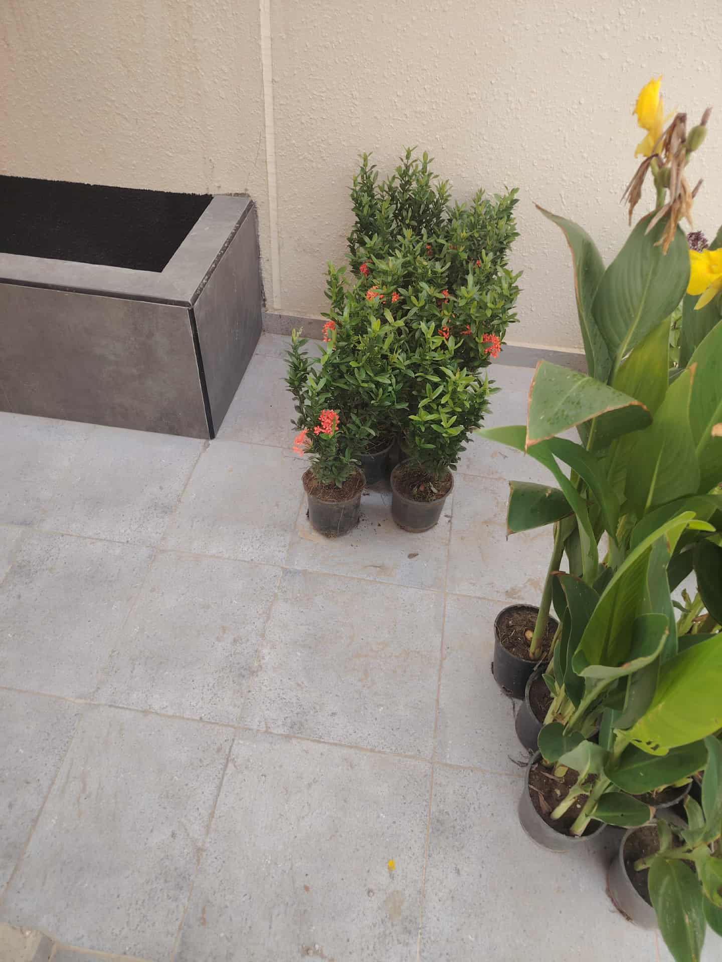 تنسيق حدائق - Image 19