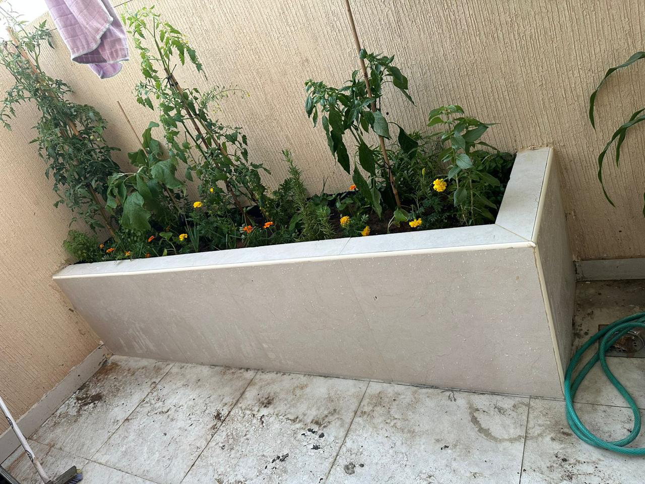 تنسيق حدائق - Image 11