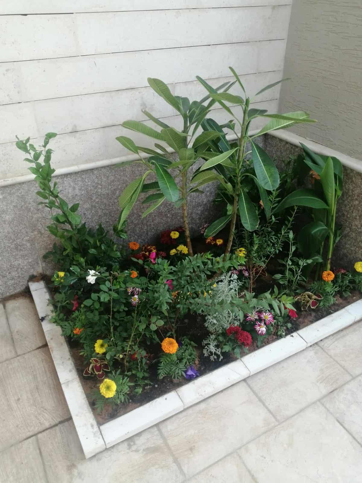 تنسيق حدائق - Image 14