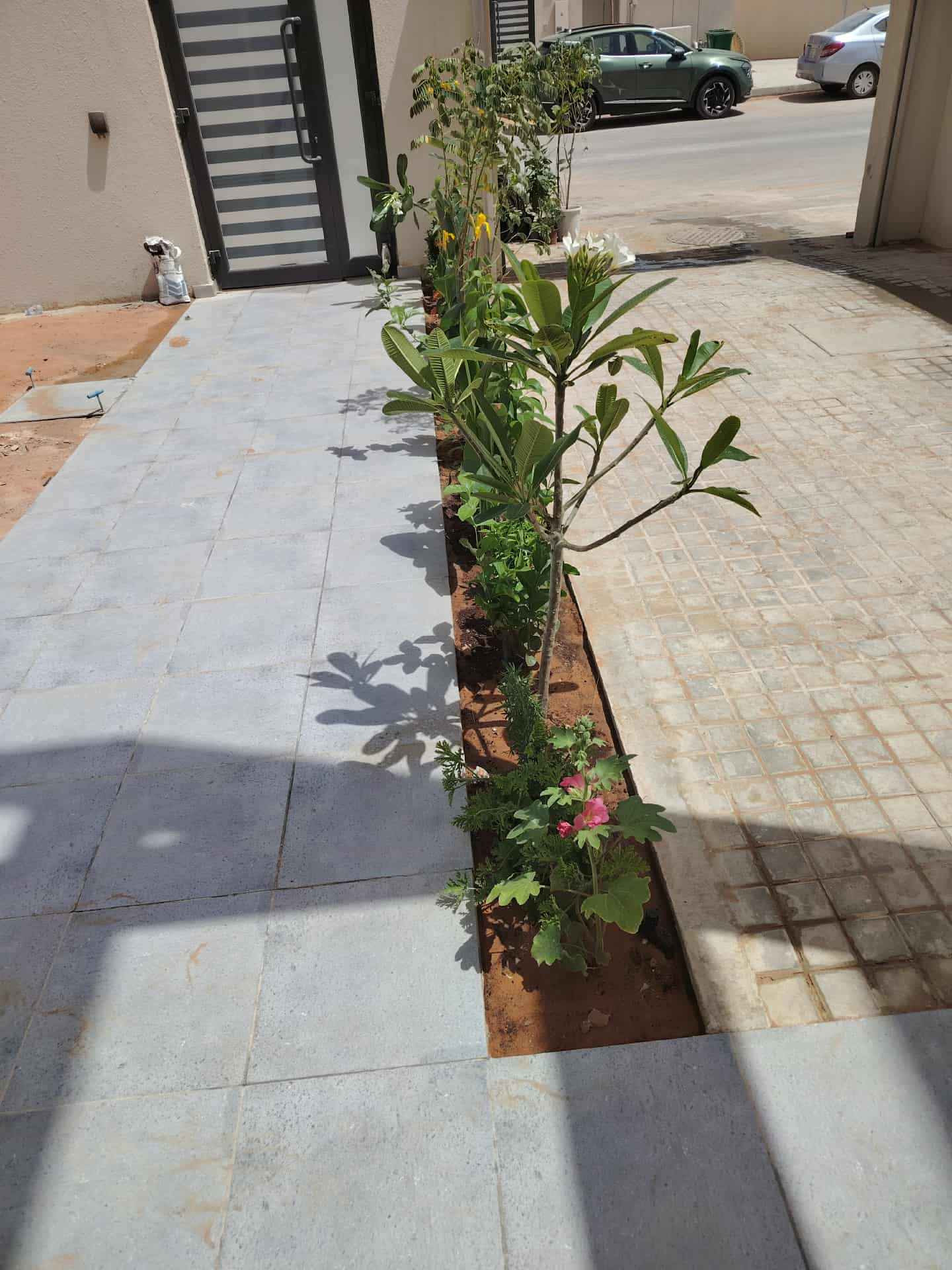 تنسيق حدائق - Image 19